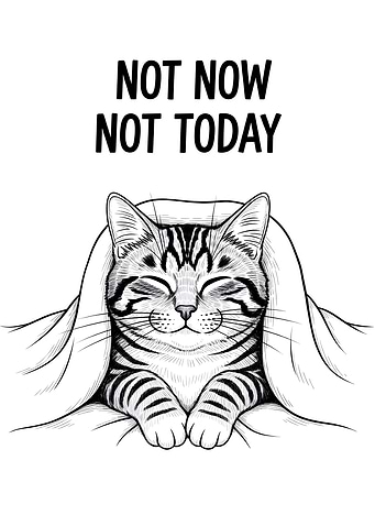 Not Now Not Today Cat Illustration