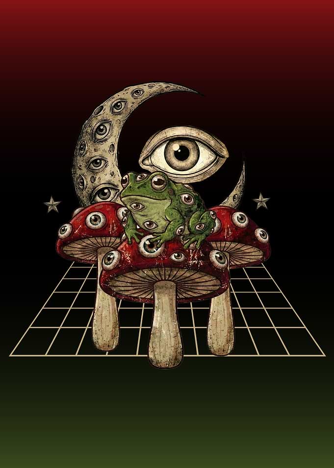 Surreal Frog on Mushroom with Eyes Weirdcore