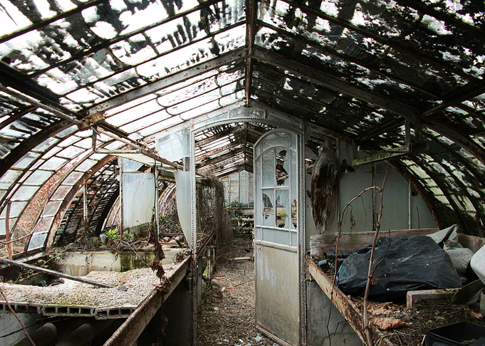 Abandoned Greenhouse Interior