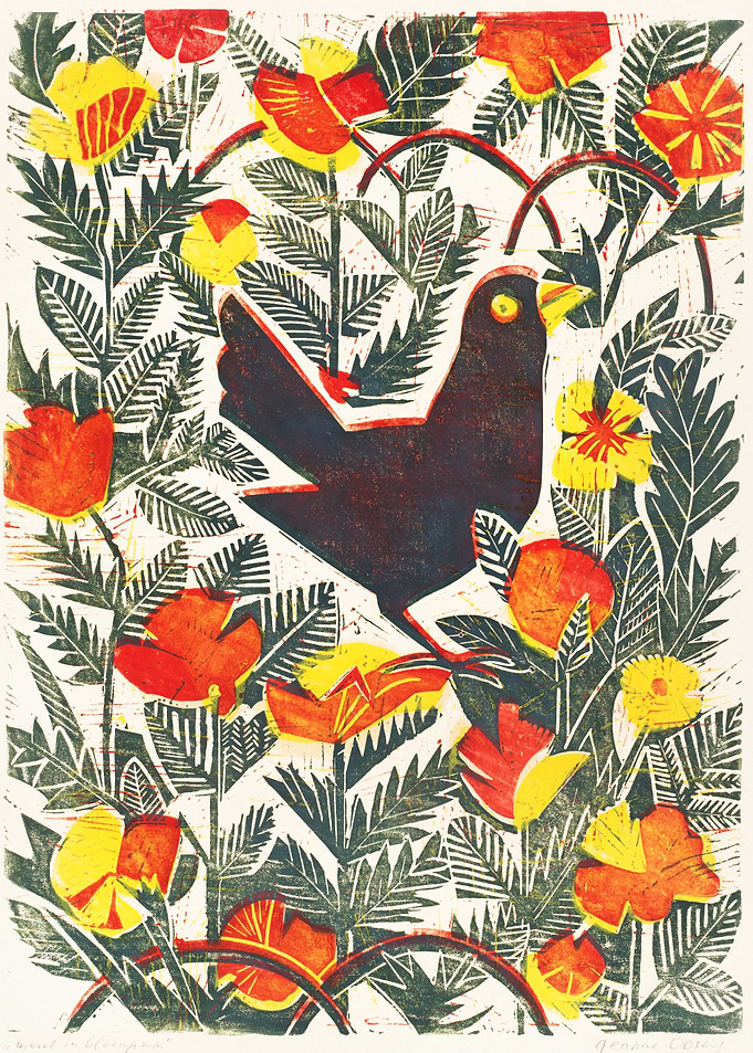 The Bird