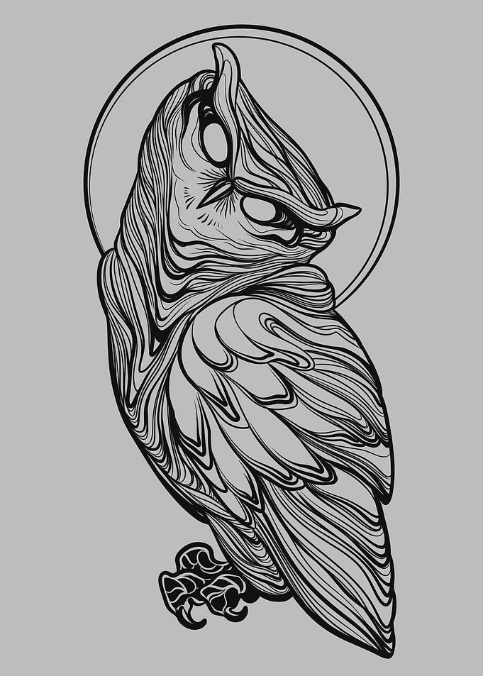 Stylized Owl Illustration