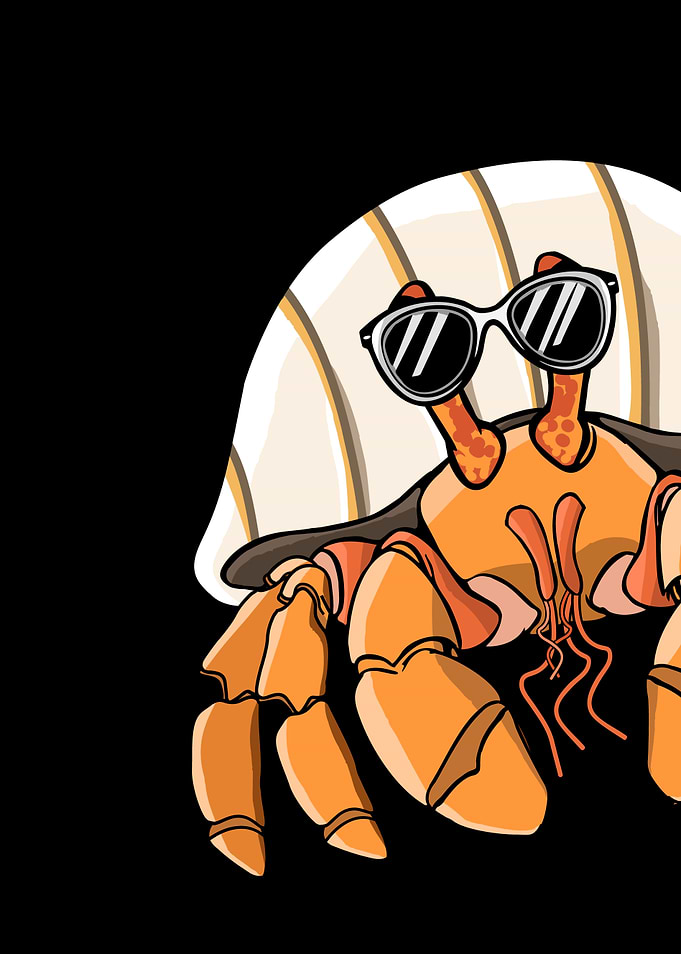 Cute Hermit Crab with Sunglasses