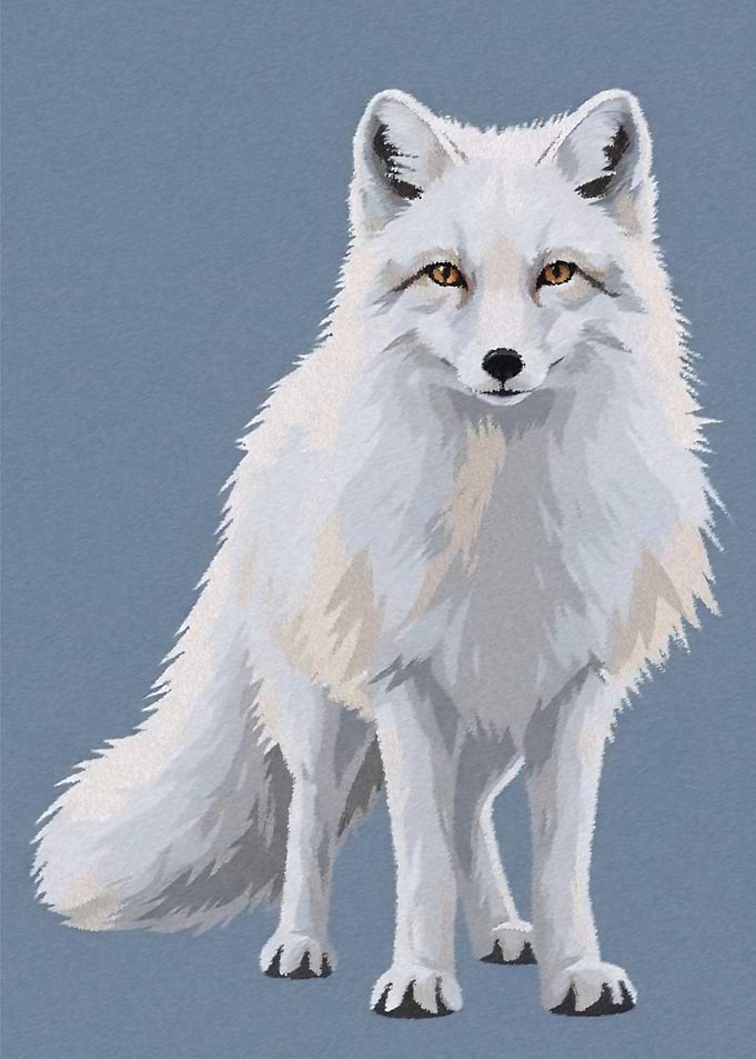The Silent Gaze