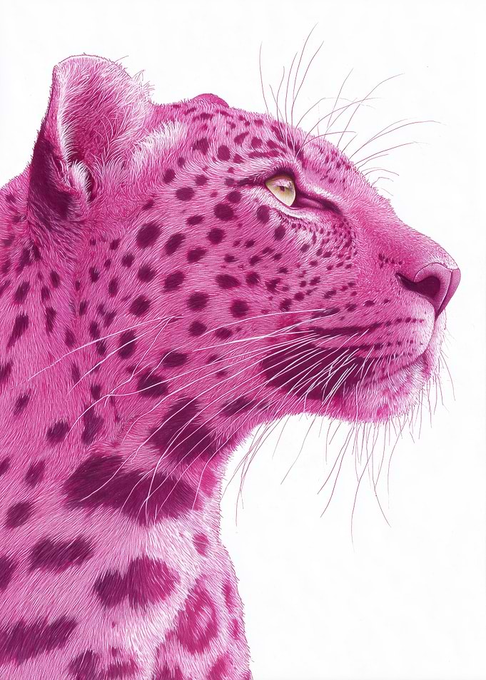 Pink Leopard Portrait