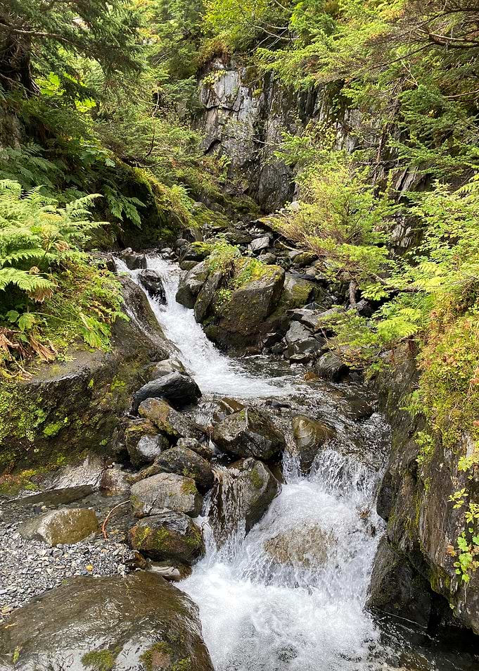 Mountain Stream Flowing Through Rocks