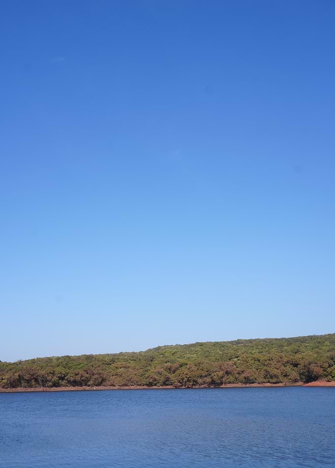 Endless Blue Serenity Over a Forest Lined Lake Under a Clear Sky