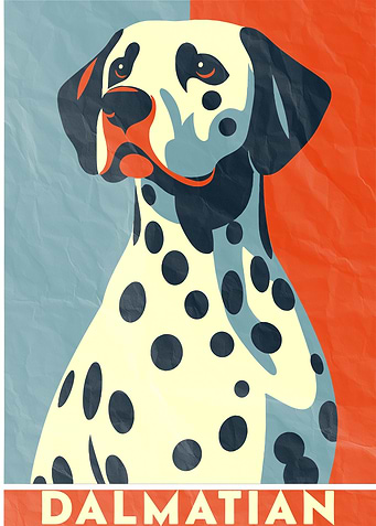Dalmatian Dog