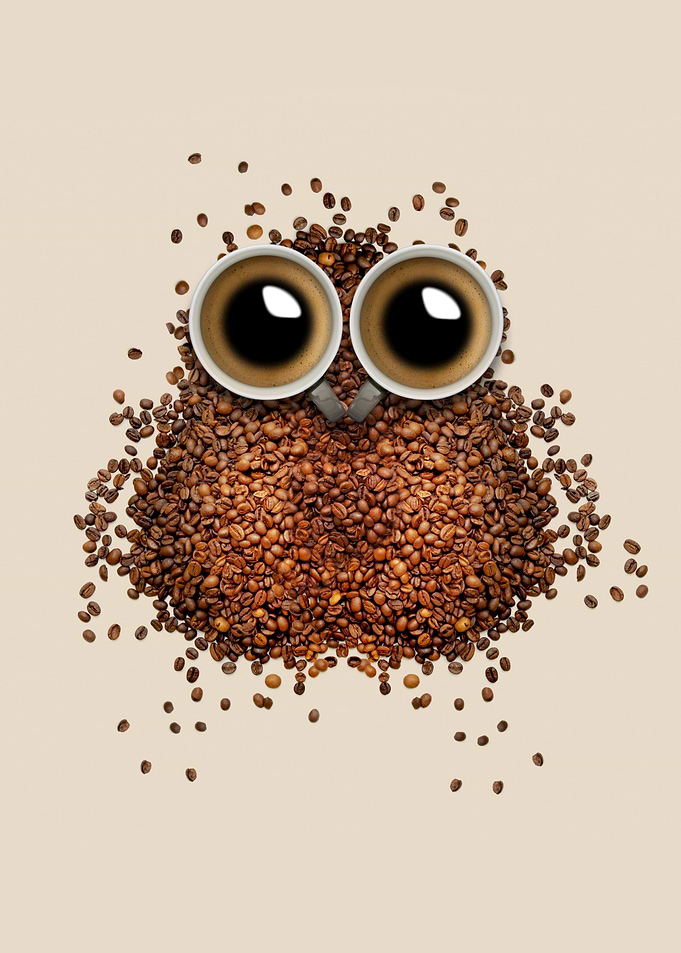 Coffee Bean Owl with Coffee Cup Eyes