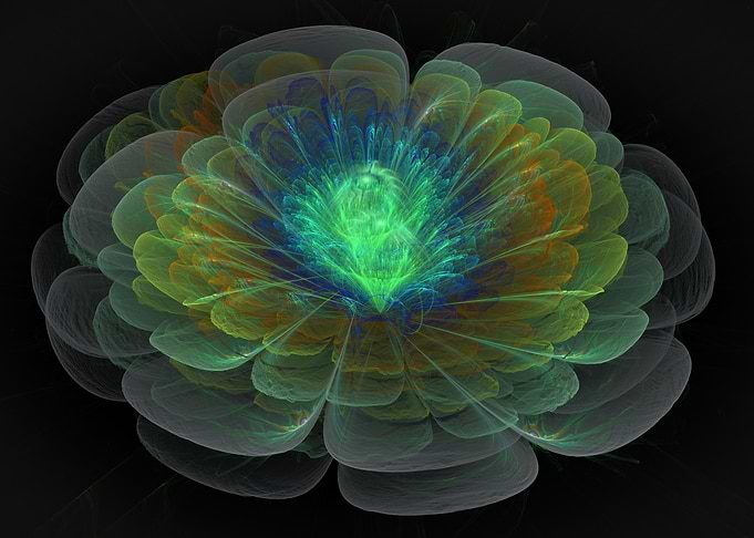 Delicate Petals