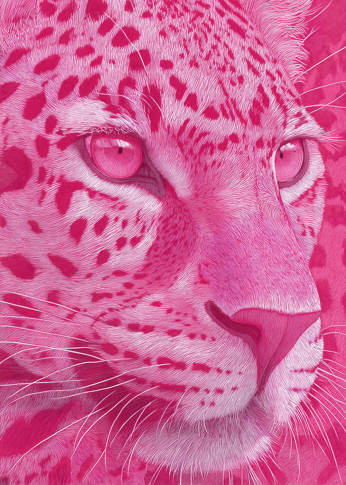 Pink Leopard Portrait