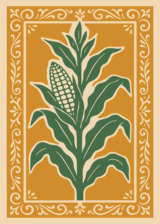 Corn Stalk Illustration with Decorative Border