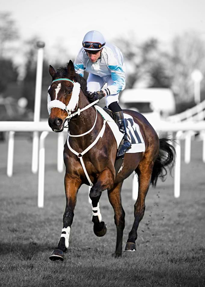 Horse Racing: Jockey and Horse in Motion