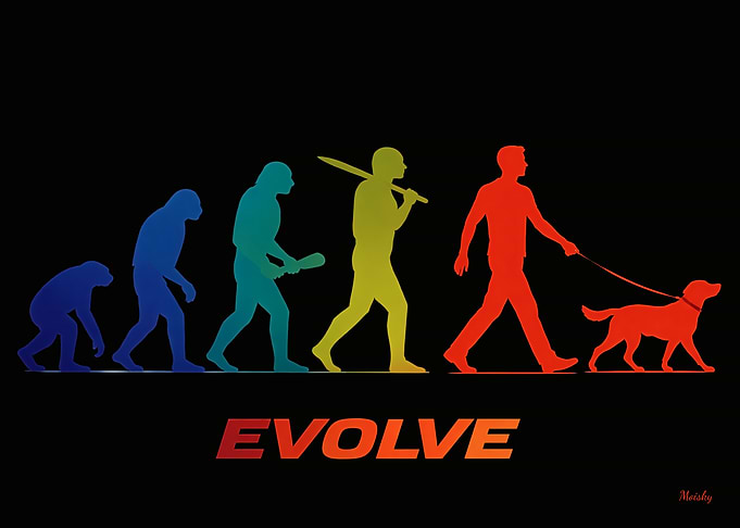 Evolution of Companionship – Evolve Dog Walker