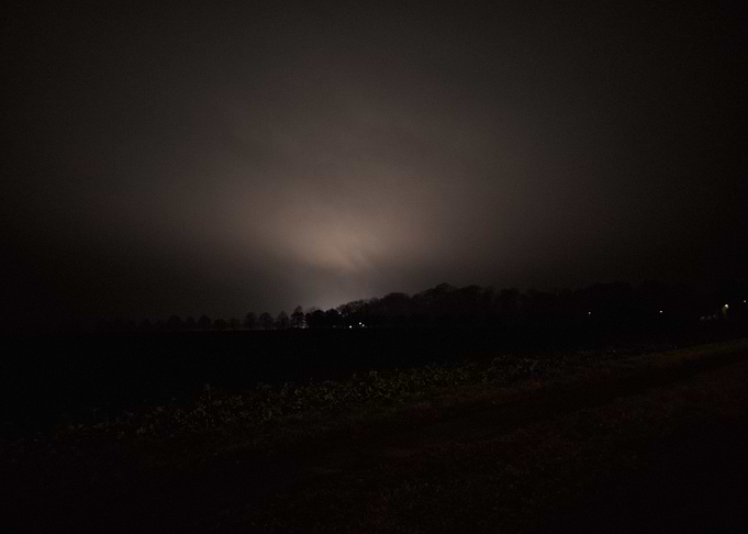 Night Landscape with Fog and Trees