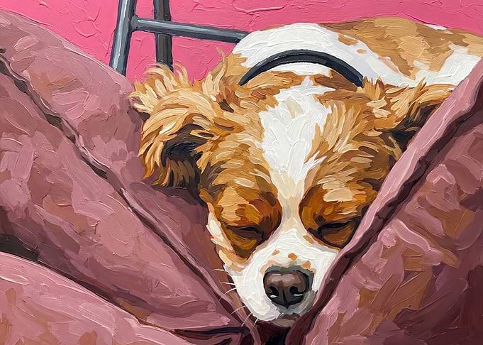 Sleeping Dog Painting