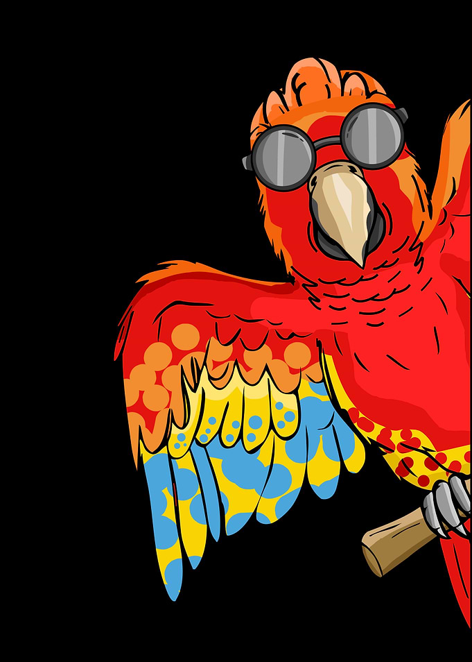 Cool Parrot With Sunglasses
