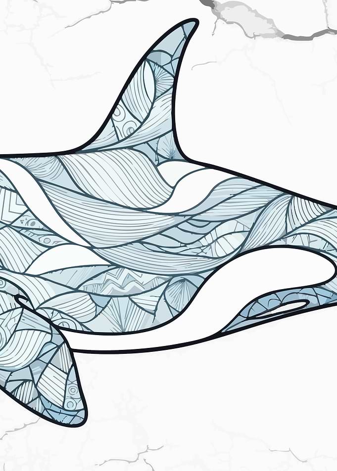 Detailed Orca Illustration on Textured Background 2/3