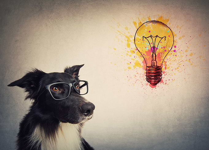 Dog with Glasses and Lightbulb Idea