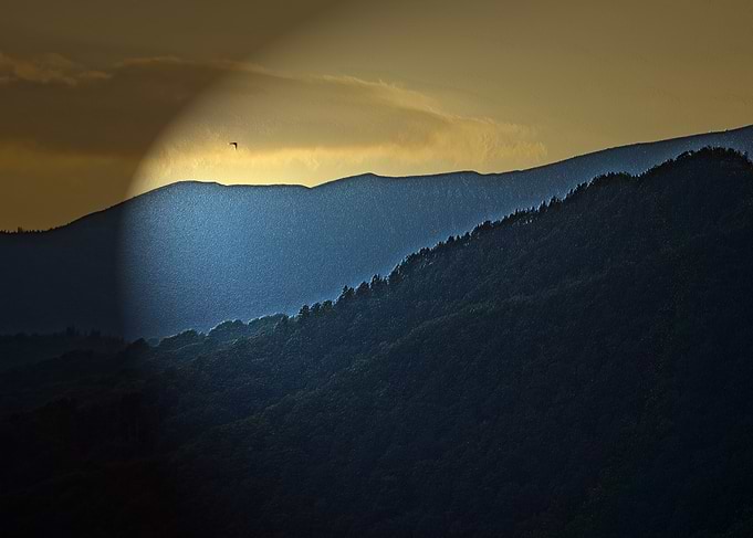 Mountain range with bird in flight
