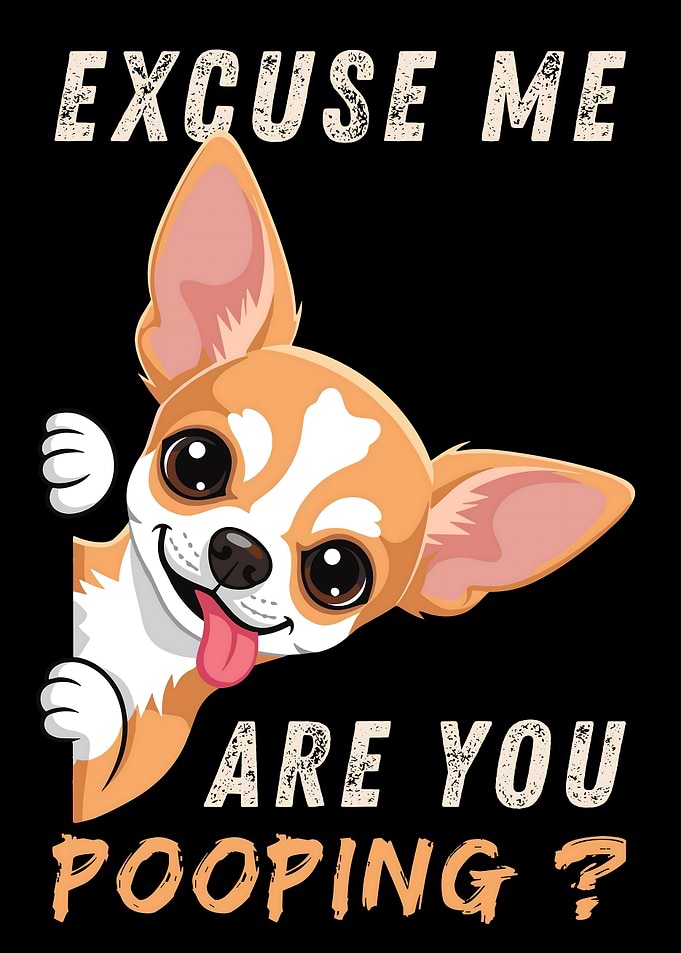 Excuse Me, Are You Pooping? Chihuahua