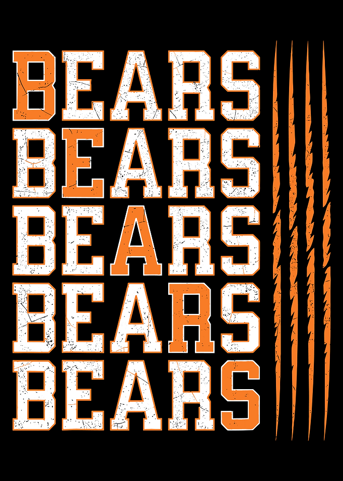 Bears Poster, Vintage Sports Typography Wall Art, Claw Marks Team Fan Decor Print