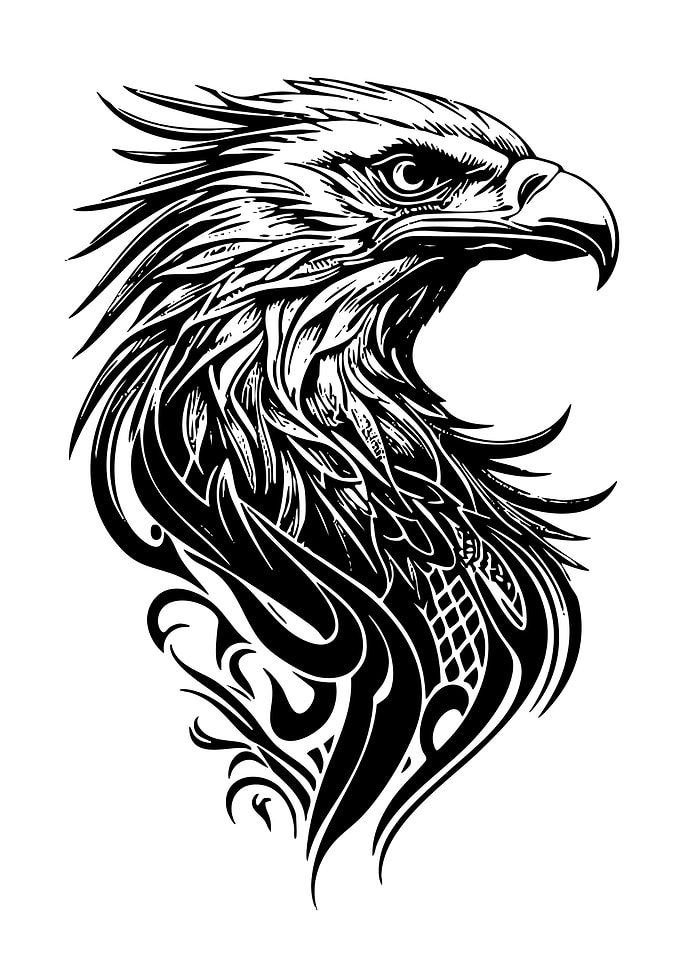 Eagle Head Black and White Illustration