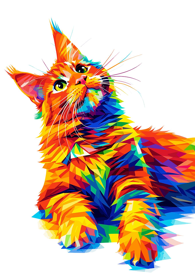 Colorful Cat Portrait