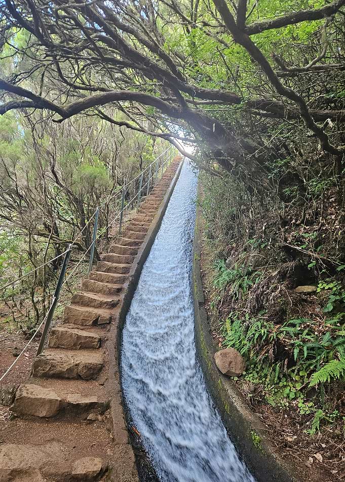 Endless Levada in Madeira