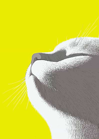 Cat Looking Up on Yellow Background