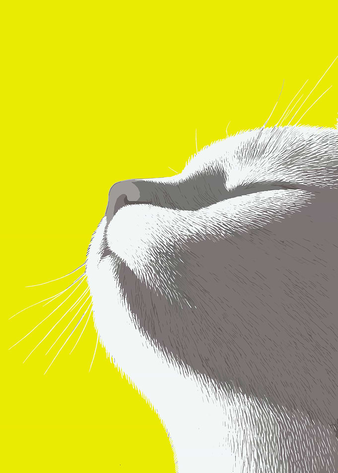 Cat Looking Up on Yellow Background