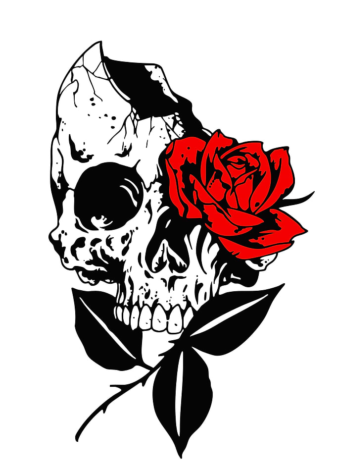Skull with Red Rose Illustration