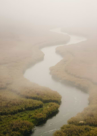Misty River Landscape