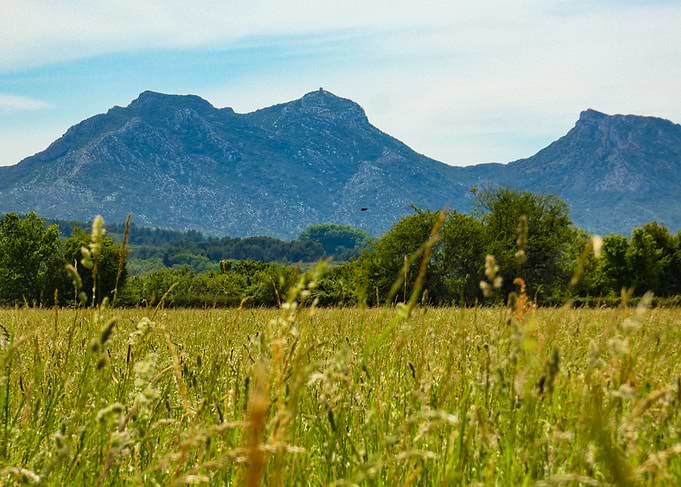 Photography of Mountain Landscape with Field of Grass in the Alpilles in Provence in France