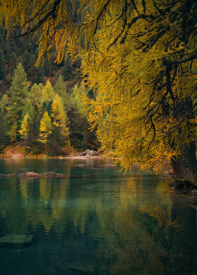 Autumn Lake Reflection