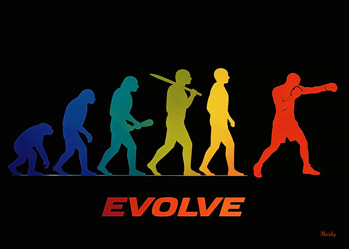 Human Evolution to Boxer