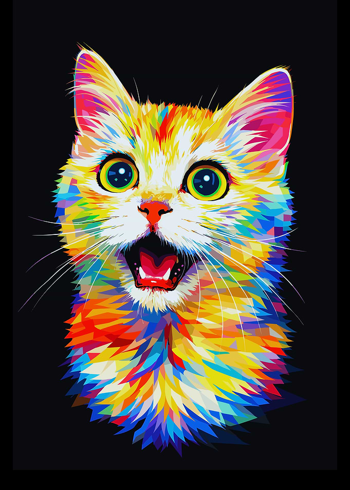 Colorful Cat Portrait on Black Background