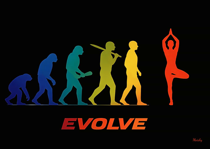 Human Evolution to Yoga Tree Pose