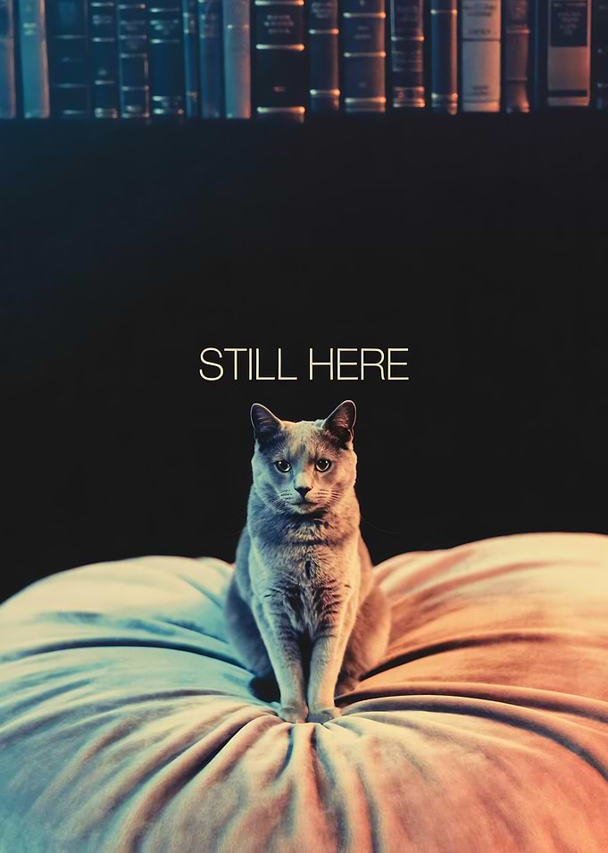 Still Here