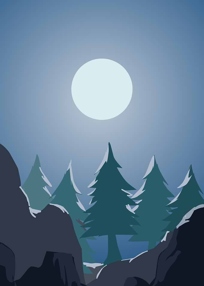 Moonlit Forest Landscape Illustration