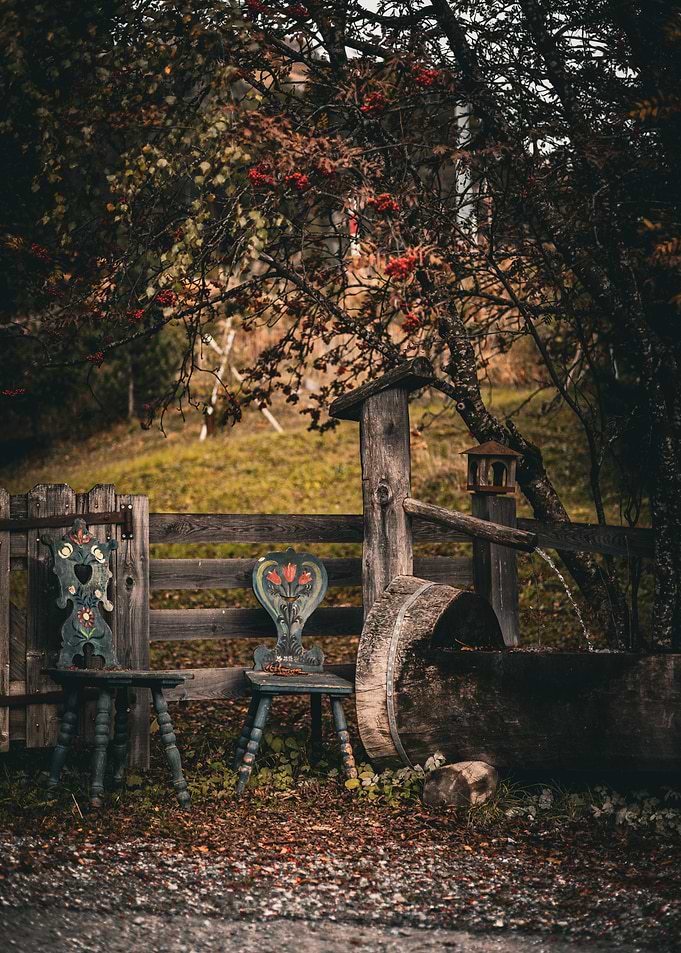Rustic Chairs by Wooden Fence and Tree