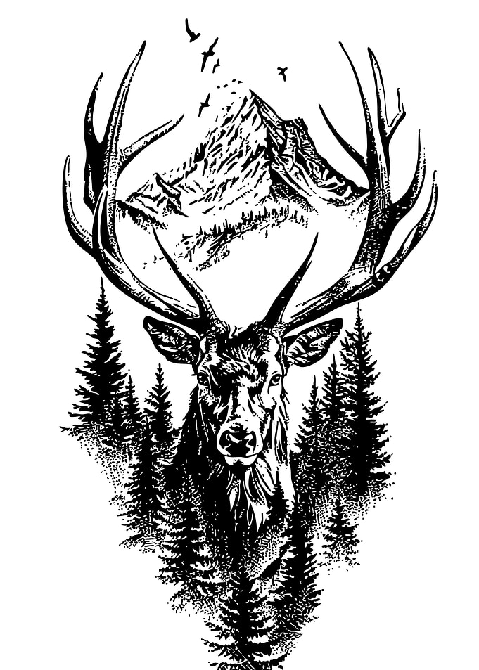 Deer, Forest, and Mountain Illustration