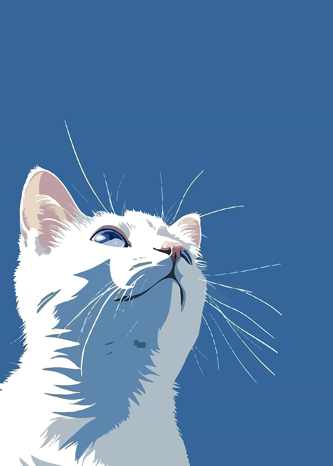 White Cat Looking Upward