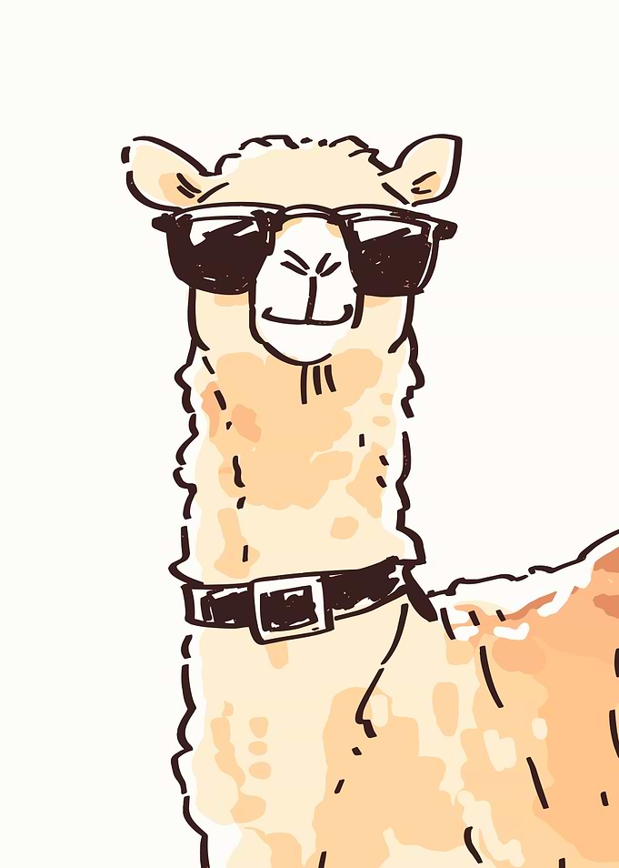 Cool Llama with Sunglasses and Belt