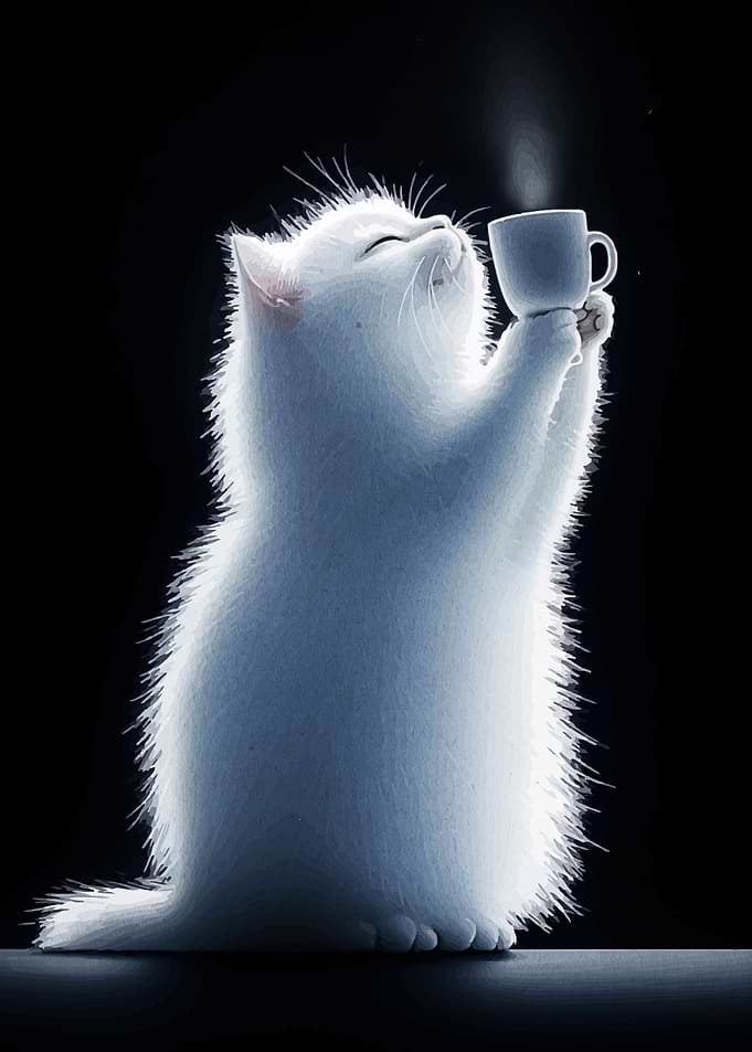 White Cat Enjoying Coffee