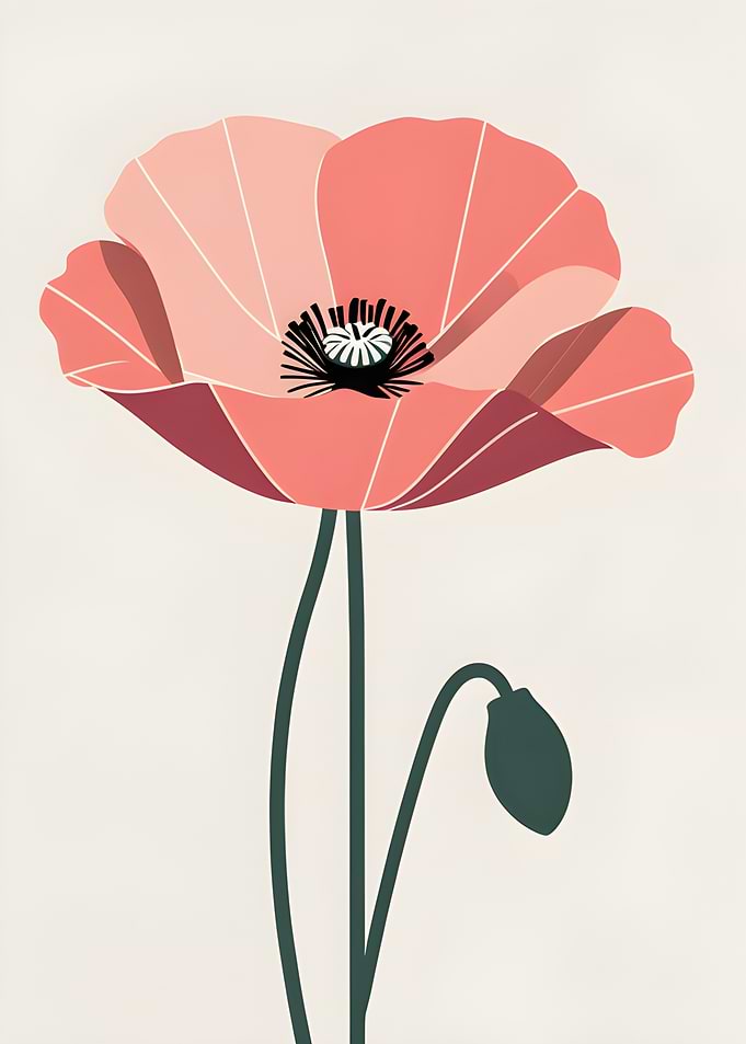 Stylized Poppy Flower Illustration
