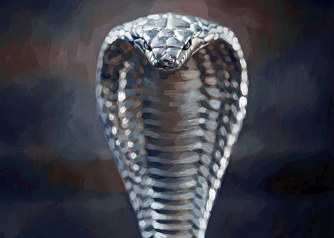 Cobra Portrait Painting