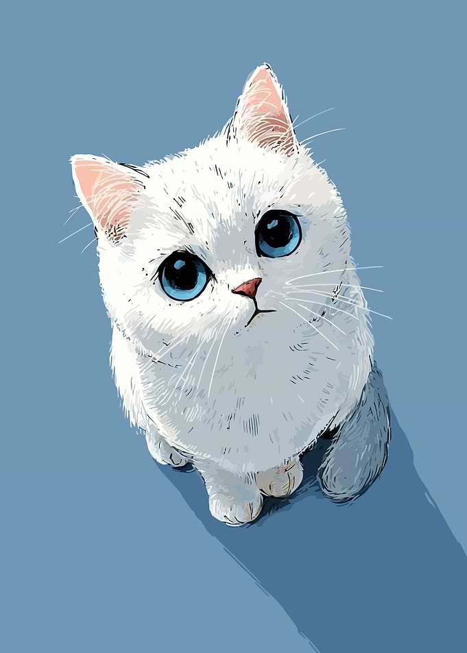 Cute White Cat with Blue Eyes
