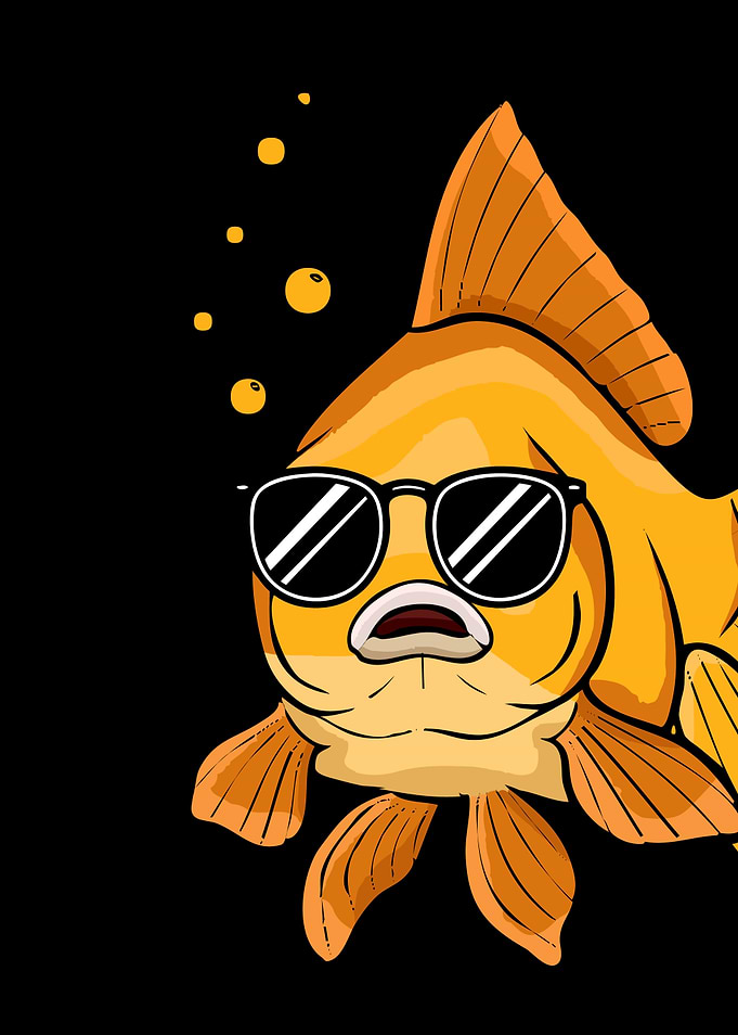 Goldfish with Sunglasses Gift Kids Aquarium
