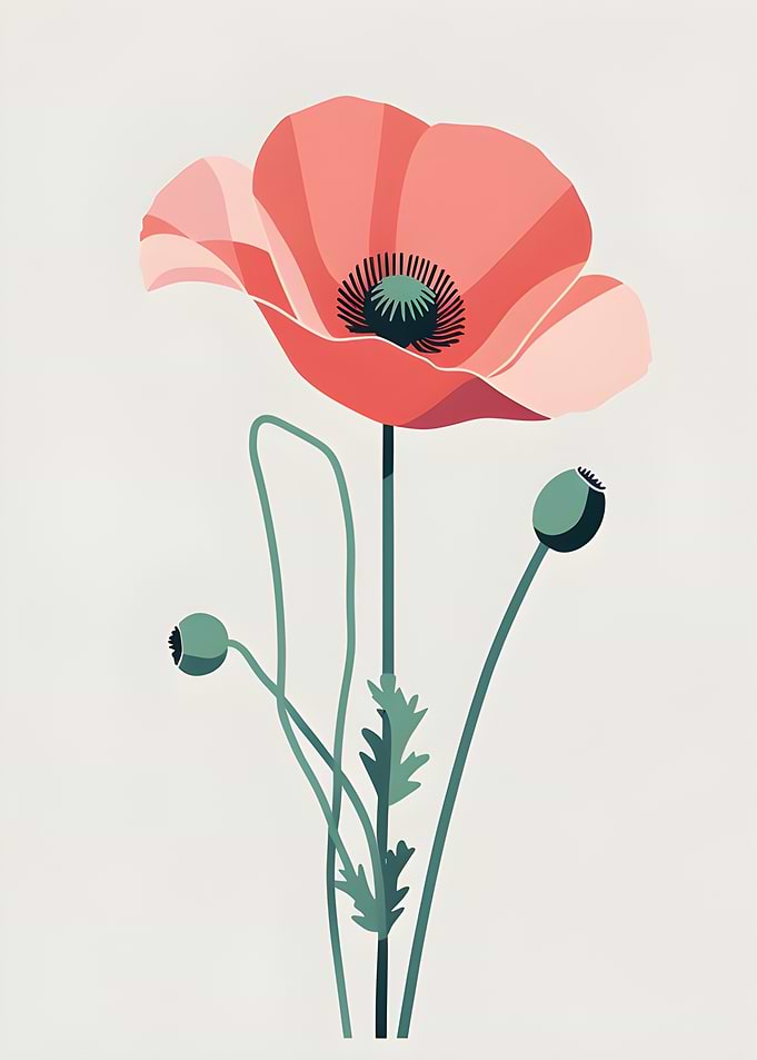 Stylized Poppy Flower Illustration