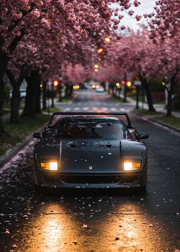 Ferrari F40 under Cherry Blossoms